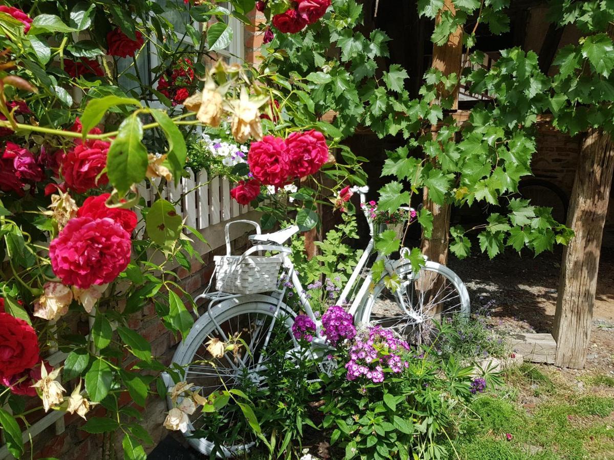 Romantisches Rosencottage Hofheim in Unterfranken Екстер'єр фото